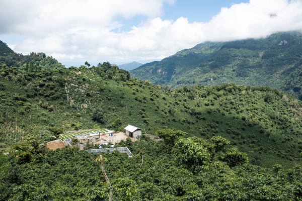 Guatemala