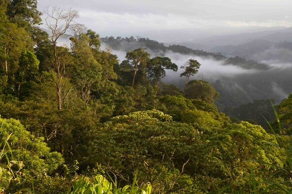 Nicaragua