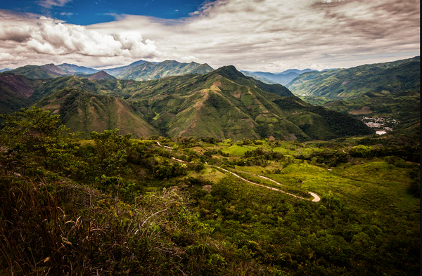 Peru - DECAF